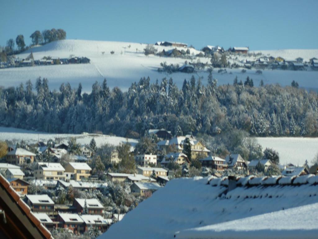 B&B Carpe Diem Steffisburg Buitenkant foto